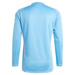 aston villa adidas goalkeeper shirt 2024-25 – long sleeve – 201964005 with custom printing Collection | Aston Villa Shirts and Official Gear