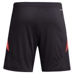 aston villa adidas goalkeeper shorts 2024-25 – 201964002 with custom printing Collection | Aston Villa Shirts and Official Gear