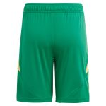 aston villa adidas goalkeeper shorts 2024-25 – 201964010 Collection | Aston Villa Shirts and Official Gear