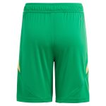 aston villa adidas goalkeeper shorts 2024-25 – kids – 201964012 with custom printing Collection | Aston Villa Shirts and Official Gear
