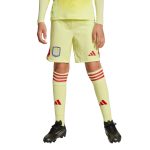 aston villa adidas goalkeeper shorts 2025-26 – kids with custom printing Collection | Aston Villa Shirts and Official Gear