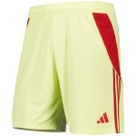 aston villa adidas goalkeeper shorts 2025-26 with custom printing Collection | Aston Villa Shirts and Official Gear
