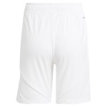 aston villa adidas home shorts 2024-25 with custom printing Collection | Aston Villa Shirts and Official Gear