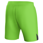 aston villa castore away goalkeeper shorts 2023-24 – kids – 13385917 with custom printing Collection | Aston Villa Shirts and Official Gear